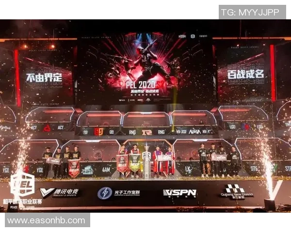 和平精英纪实：见证RNG战队从崛起到巅峰的奋斗历程与荣耀时刻