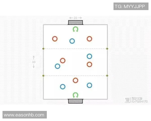武汉羽毛球队整体压制打法深度解析与战术优势剖析