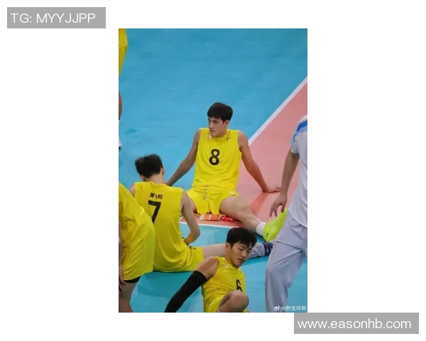 杭州排球队战术革新引发热议助力球队迈向新高峰